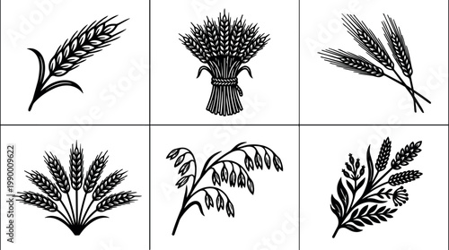 Wheat and oat sprigs with stalks and grains