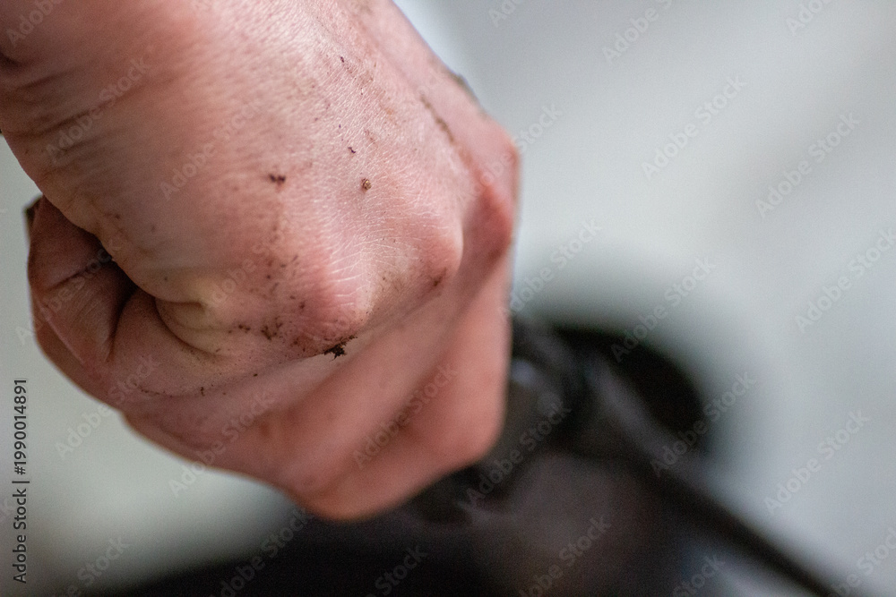 Fototapeta premium man with hand in soil