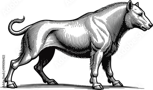 A detailed illustration of a muscular dog in profile