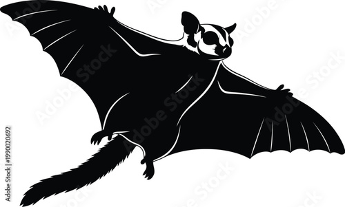 Silhouette of a sugar glider in flight with gliding possum black and white background marsupial silhouette creature illustration isolated wildlife