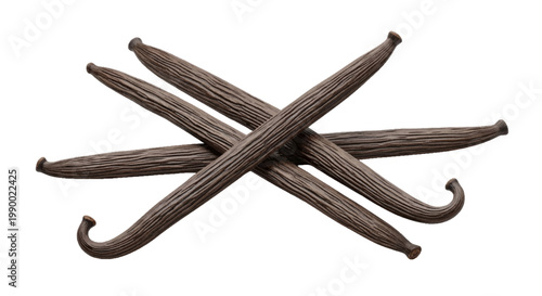 Vector illustration of three dried vanilla beans on a transparent background