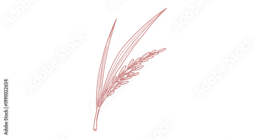 Red line drawing of a rice plant