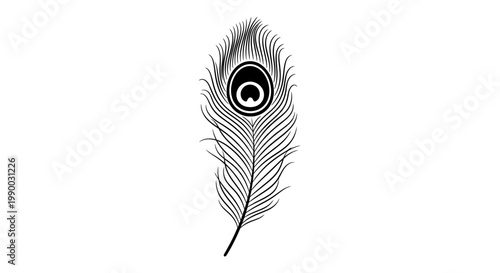 Black and white peacock feather illustration on white background