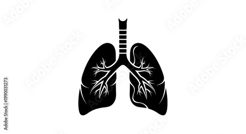 Black and white illustration of the human respiratory system
