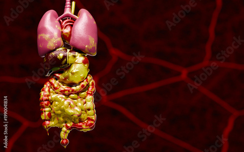Visceral fat accumulation surrounding internal organs illustrating metabolic dysfunction, chronic inflammation, and increased risk of obesity related diseases affecting digestive system and human