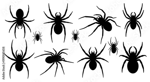 Collection of Black Silhouettes of Spiders in Various Poses, Ideal for Halloween or Gothic Themed Designs