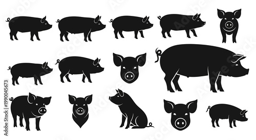 Collection of black silhouette illustrations of various pigs, including full body shots and head profiles