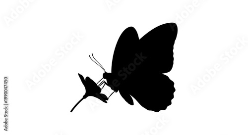 Butterfly silhouette landing on a flower vector illustration
