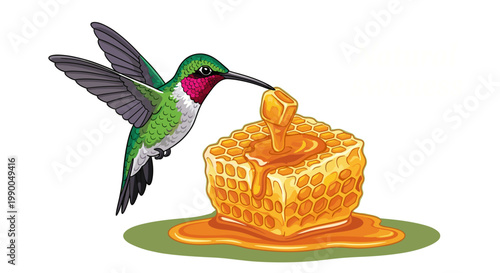 Hummingbird and Honeycomb Illustration: Natural Sweetness, Artistic Vector Design, Wildlife and Food Concept, Isolated on Transparent Background, Decorative Element