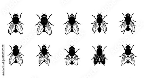 A collection of ten stylized black and white illustrations of flies, each with unique wing and body details