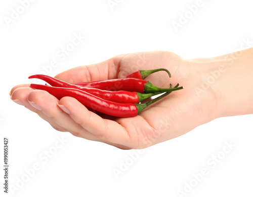 Hand holding fresh red chili peppers