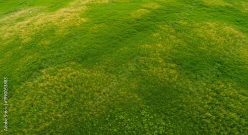 Aerial view of a vibrant green meadow with patches of golden, dry grass. high-quality professional detailed modern elegant stylish clean