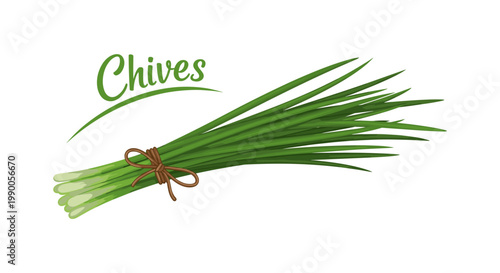 Fresh green chives bunch tied with brown string isolated on a white background, with text label