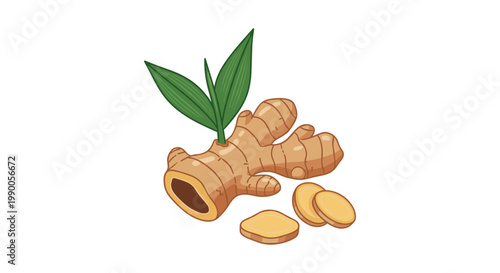 Fresh ginger root with green leaves and sliced pieces isolated on a white background