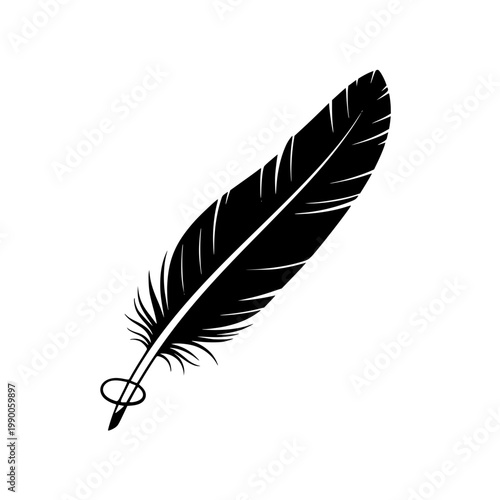A black feather with a quill pen Vector, illustration