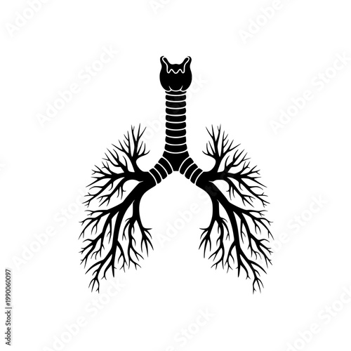 Human lungs with trachea and bronchi Vector, illustration
