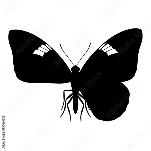 A black butterfly with white spots on its wings Vector, illustration