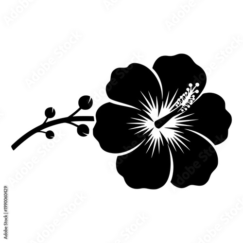A black silhouette of a hibiscus flower with stamens and a stem Vector, illustration