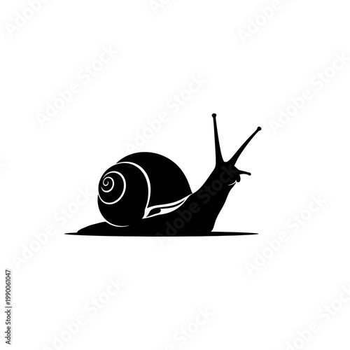 Snail silhouette vector illustration on white background