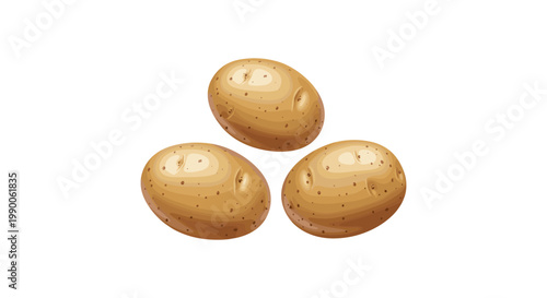 Three whole raw brown potatoes isolated on a plain white background