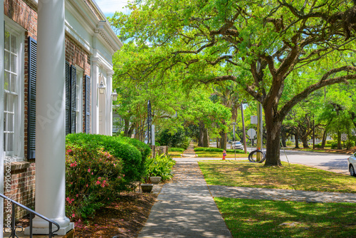 Foto A tree lined street in the historic district of Georgetown, South Carolina, with homes and landmarks dating back to the 1700's