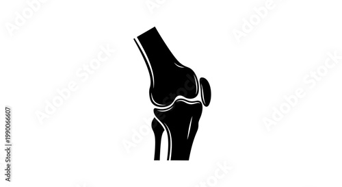 Human knee joint anatomy silhouette vector illustration