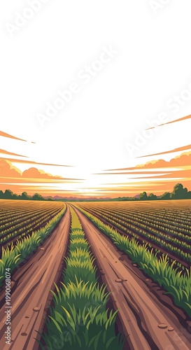 Dirt road leading through farmland under a warm sunset sky