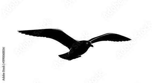 Flying seagull bird black silhouette vector illustration