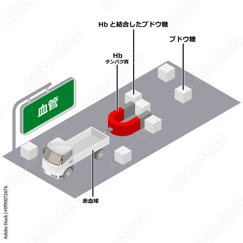 血管の中のHbA1cの状態のイラスト