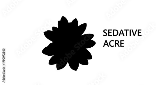 Black flower silhouette with minimalist typography on white background