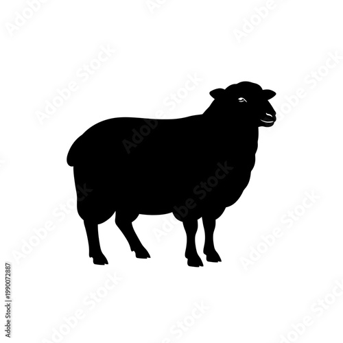 Minimalist sheep silhouette vector illustration isolated on white
