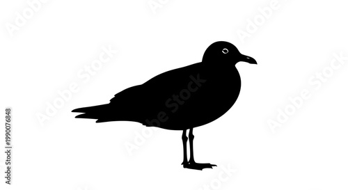 Standing seagull silhouette vector illustration isolated on white