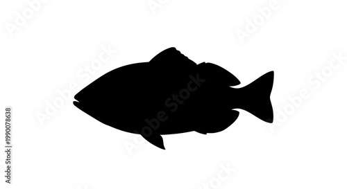 Black Fish Silhouette Vector Illustration Isolated on White