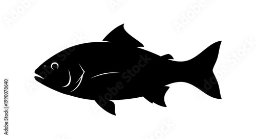 Black fish silhouette vector illustration isolated on white