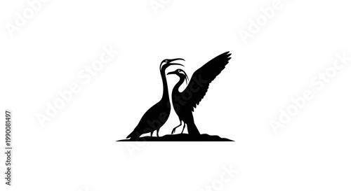 Pair of water birds silhouette illustration on white background