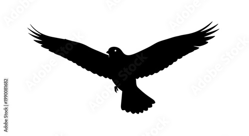 Black hawk bird silhouette soaring with open wings vector