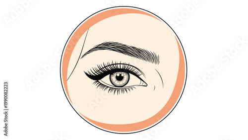 Detailed graphic of a female eye with long eyelashes and perfect eyeliner makeup framed within a circular border on a warm peach tone.