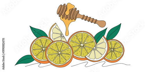 Detailed line drawing of a traditional wooden honey dipper pouring golden nectar over a row of fresh yellow and orange citrus fruit slices and green leaves with illustration ingredient culinary