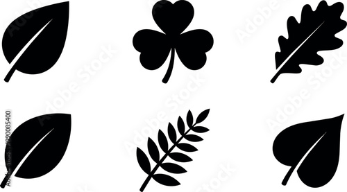 Black silhouette leaf shapes set including oak clover and compound leaves