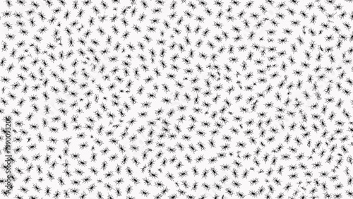 A mesmerizing swarm: the intricate dance of countless ants across a blank canvas.