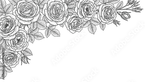 An elegant corner frame arrangement of beautifully detailed rose flowers, buds, and leaves, rendered in a delicate black and white line art style.