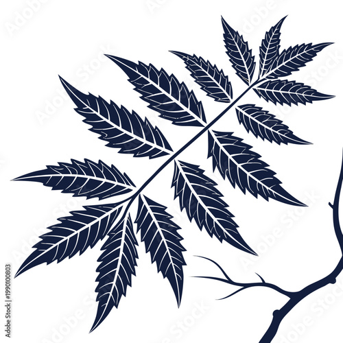 neem leaf silhouette vector on white
