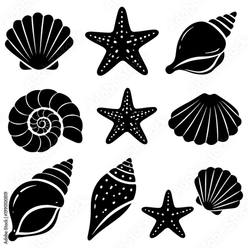 Black and white illustration of various ocean shells and starfish