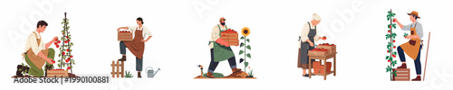Diverse Gardeners and Farmers Harvesting Fresh Organic Tomatoes in a Flat Vector Illustration Set Isolated on White Background