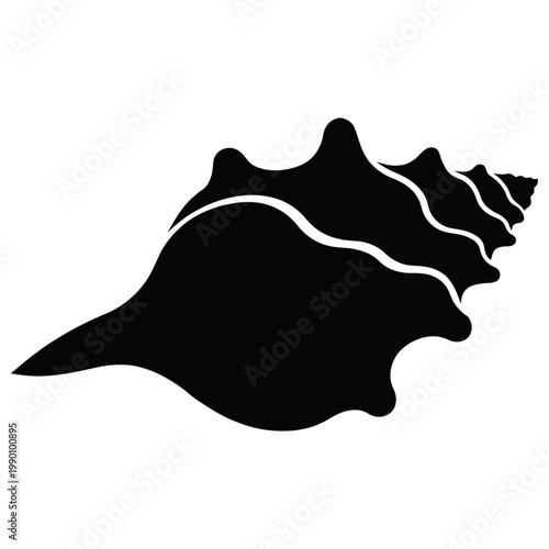 Black conch shell illustration with white accents on a plain background