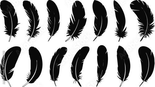 Feather silhouette motifs for textile and trim