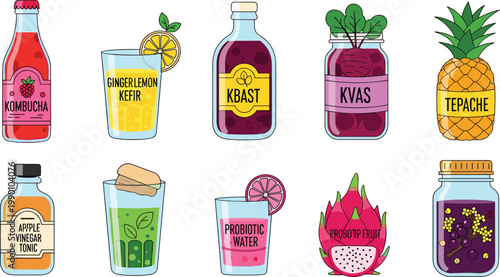 Healthy Fermented Probiotic Beverage Vector Illustration Set Featuring Kombucha, Kefir, Kvass, Tepache, Apple Cider Vinegar Tonic, and Dragon Fruit Drinks for Wellness Menus