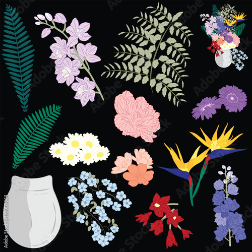 set of flowers featuring orchid, peony, daisy, forget-me-not, bird of paradise, gerbera, delphinium, and lily flowers with leaves on black background