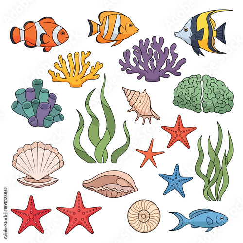 Ocean Elements Vector Set with Fish Coral Seaweed Shells and Starfish Flat Design