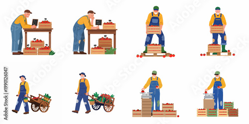 Set of vector illustrations depicting an elderly male farmer harvesting, weighing, and selling fresh tomatoes at a market stall and using a wooden cart.